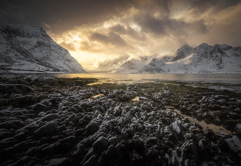 Arctic Expedition